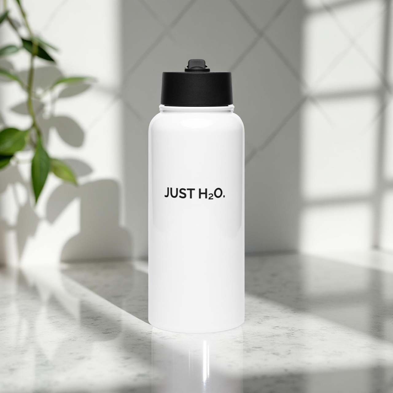 Just H₂O. Stainless steel water bottle